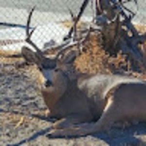 Meet your Posher, Kara